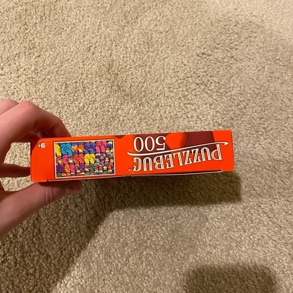 Flip Flop Puzzle - Picture 6 of 9